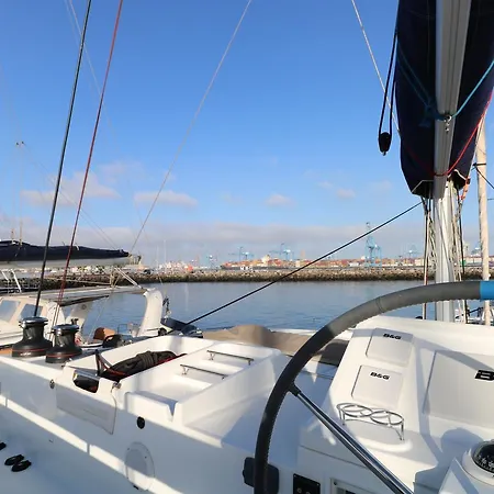 Panoramic Catamaran Xperience *
